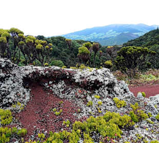 Inselrundfahrt Faial