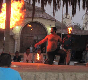 Safari , nichts dolles