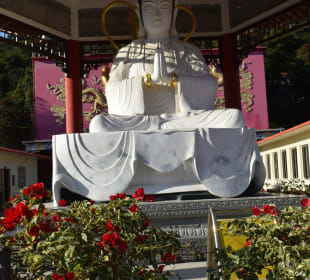 Temple of 10.000 Buddhas
