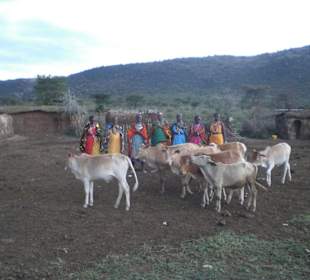 Tanzende Masai Frauen