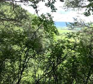 Schutzgebiet Spitzberg, Pfaffenberg