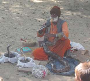 Schlangenbeschwörer im Eingangsbereich