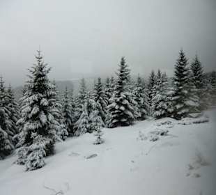 Traumhafte Winterwelt