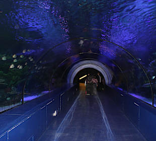 Toni Macaroni in Antalya-Aquarium