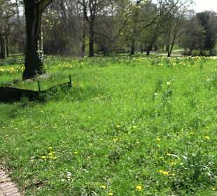 Parkanlage Villa Berg