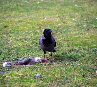 Da wird nichts weggeschmissen.