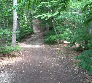 Tour entlang der Traifelbergfelsen