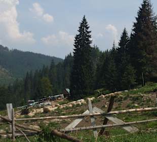 Parcul Natural Apuseni