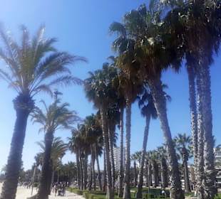 Uferpromenade Passeig de Jaumes I Salou