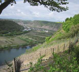 Raststätte Moselblick