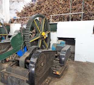 Freier Zugang zur Produktion der Zuckerfabrik