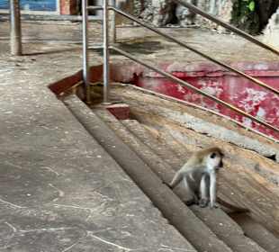 Batu Caves