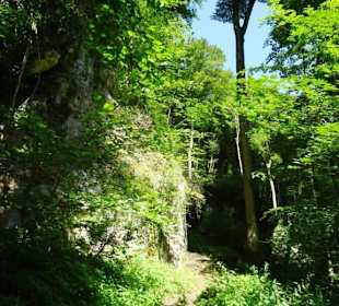 Wanderung durch die Kleine Luxemburger Schweiz