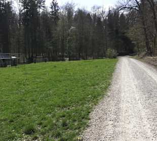 Sport- und Freizeitpark Markwasen