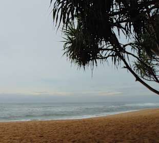 Induruwa Beach