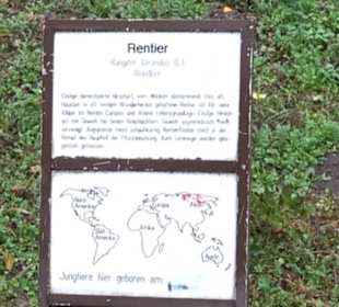 Tierpark 