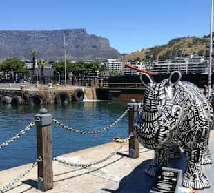Tafelberg im Hintergrund