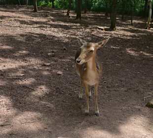 "Bitte fotografiere mich!"