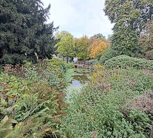 Kurpark Illingen in Illingen