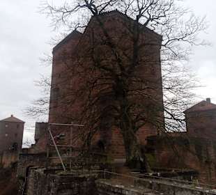 Burg Trifels