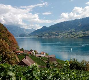 Blick auf Quinten mit Walensee