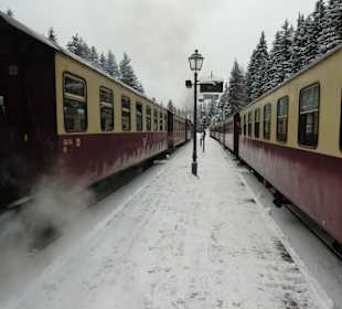 Schierke, hier begegnen sich die Züge