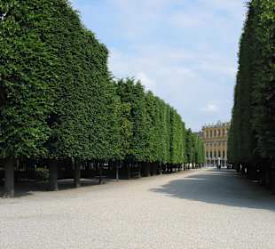 Wien Schönbrunn