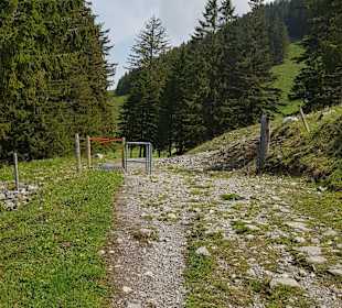 Wandern Plaffeien