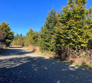 Wandern in Willingen 