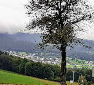 Wandern Haibühl