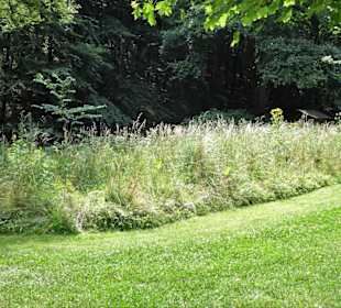 Naturwiese im Kurpark