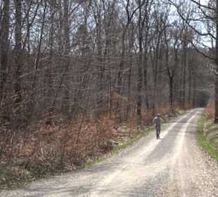 Waldkulturerbe Neuweiler Viehweide