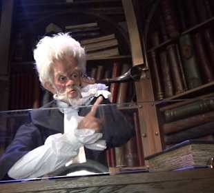 Themenbereich Märchenwald