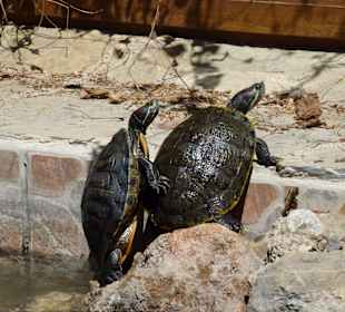 Tierpark Manavgat