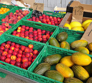 Eindrücke vom Rundgang über den Markt von Elne