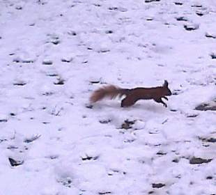 Łazienki wczesną wiosną.
