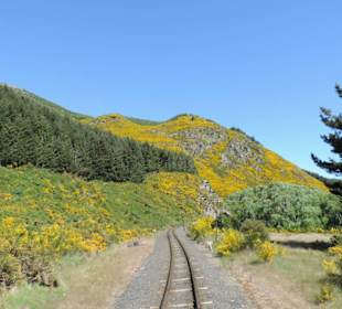 Mit der Taieri Railway durch die Natur Neuselands
