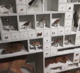 Naturkundemuseum