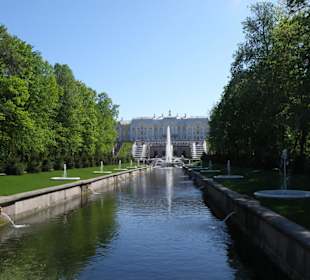 Andando per il palazzo 