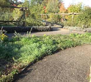 Botanischer Garten