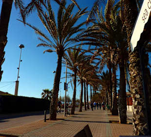 Playa de Palma