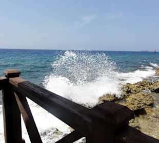 Blick von der Terrasse des Perla del Mar