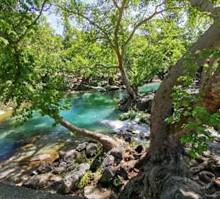 Ausflug "Selge" Mai 2019