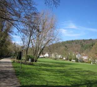 Altstadt Bad Bergzabern Kurpark