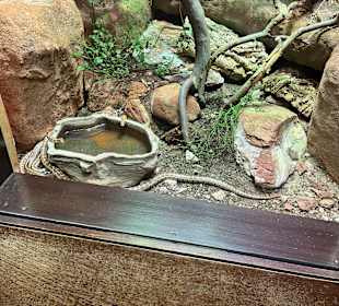 Aquazoo Löbbecke Museum Düsseldorf