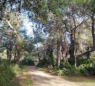 Wandern Side - Titreyengöl 