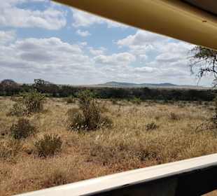 Erlebnisse und Wege der Safari