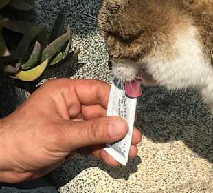 Stadtrundgang Belek - Bogazkent