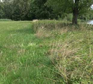 Wanderrunde Emeringen zum Rechtenstein