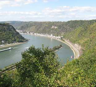 Blick vom Lorelyfelsen